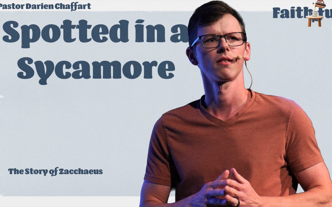 Spotted In A Sycamore